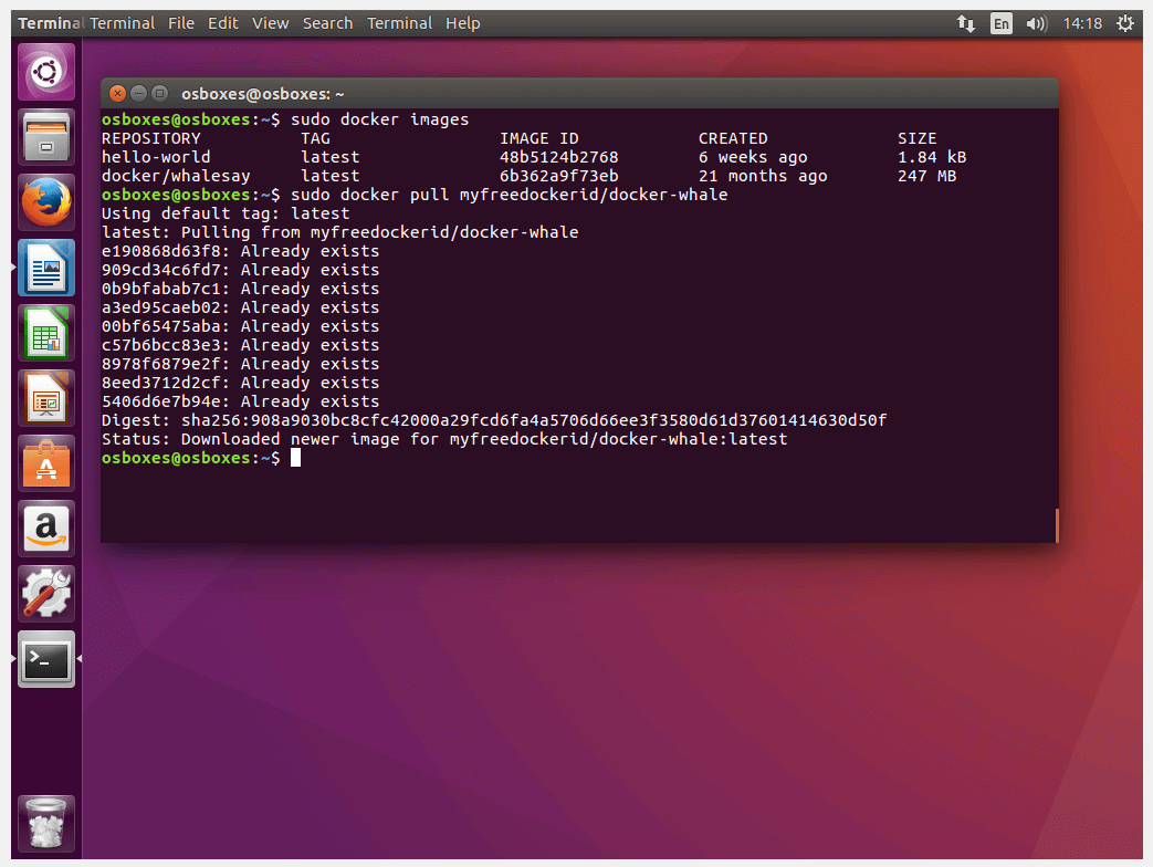 Terminal Ubuntu : Téléchargement depuis Docker Hub