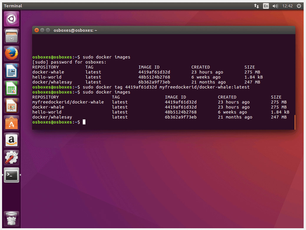 Terminal Ubuntu: Aperçu image avant et après balisage