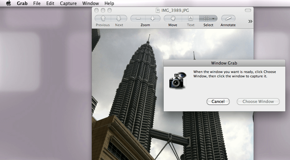 Fenêtre de fonction du logiciel « Grab » ou « Capture »