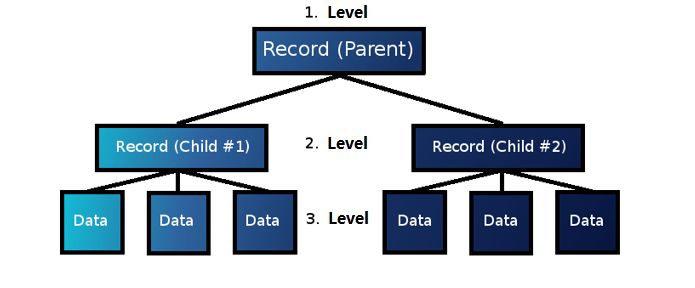Modèle de base de données hiérarchique