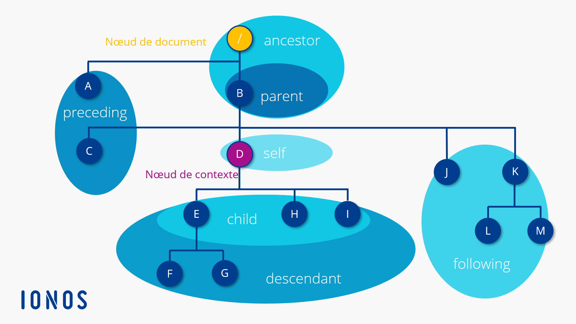 Les axes du modèle de données XPath Les axes du modèle de données XPath