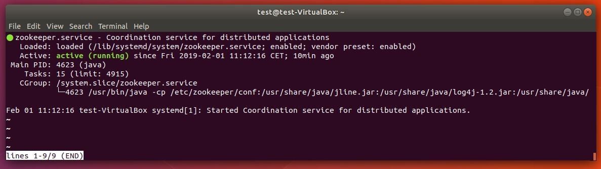 Terminal Ubuntu : message qui atteste que le service ZooKeeper a bien démarré