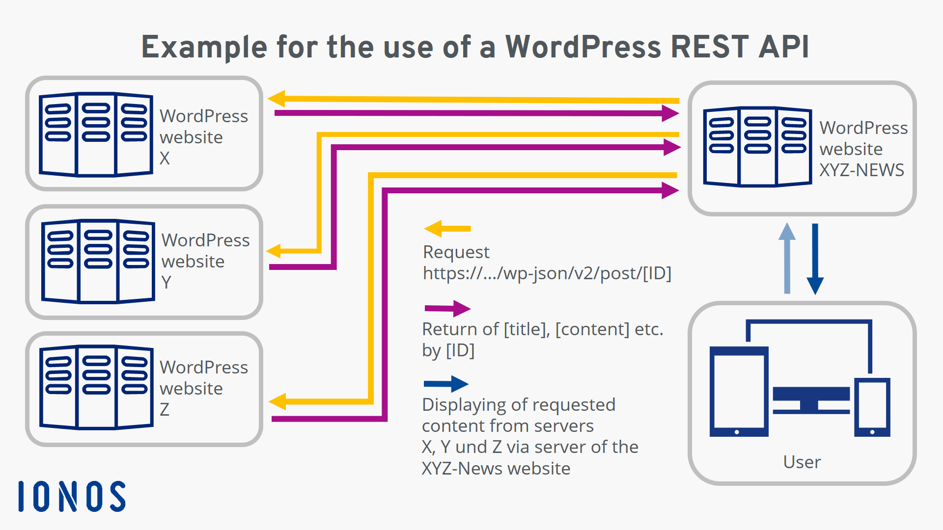 API de WordPress : un exemple simple et pratique 