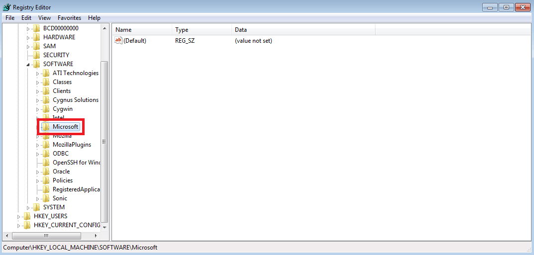 Dossier Microsoft dans l’éditeur de registre Windows