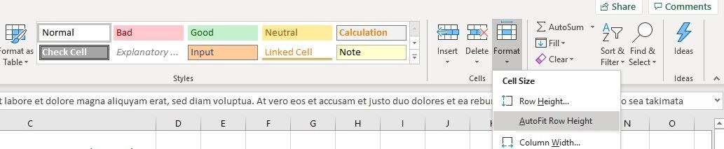 Menu Excel « Format » dans la barre de menu « Accueil »