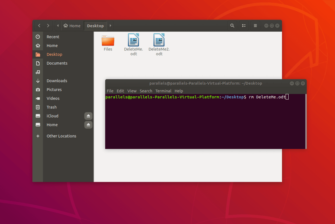 Supprimer un seul fichier Linux via le terminal