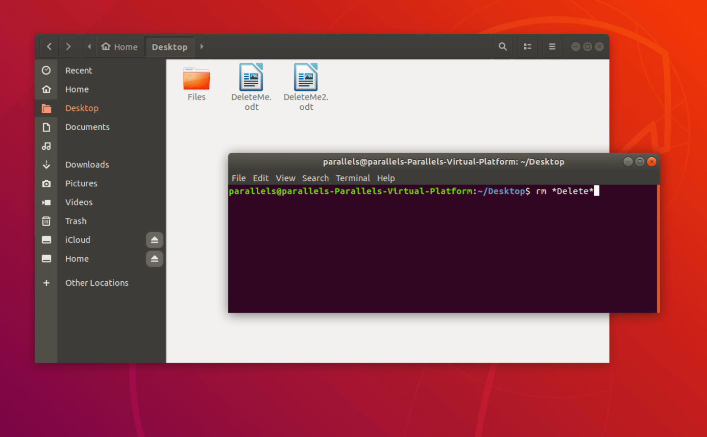 Supprimer sous Linux des fichiers avec des noms spécifiques via le terminal