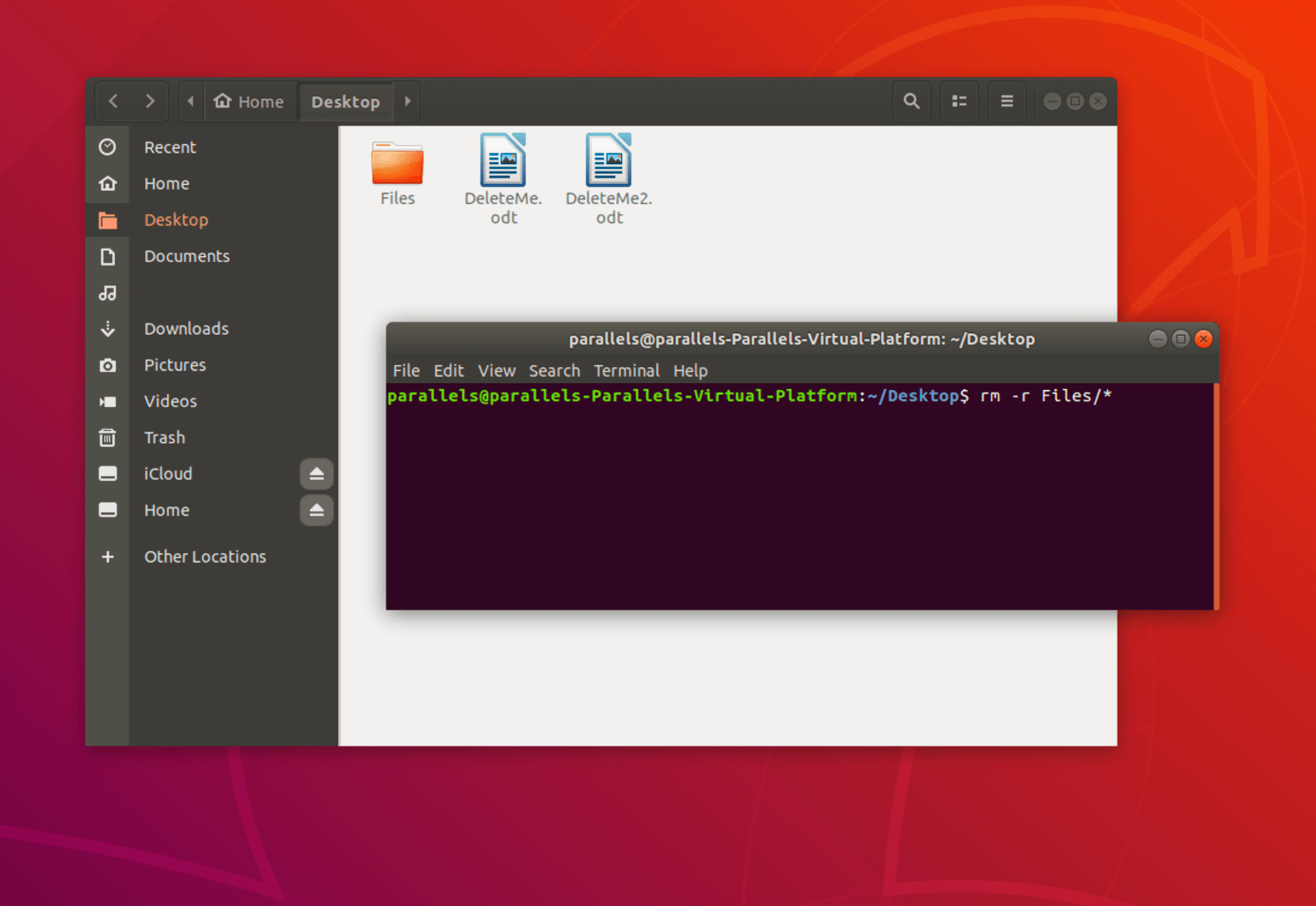 Supprimer les fichiers et sous-dossiers d’un dossier spécifique via le terminal sous Linux