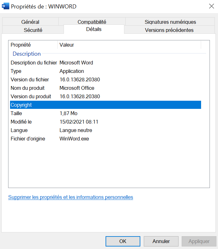 Propriétés du fichier WINWORD Propriétés du fichier WINWORD