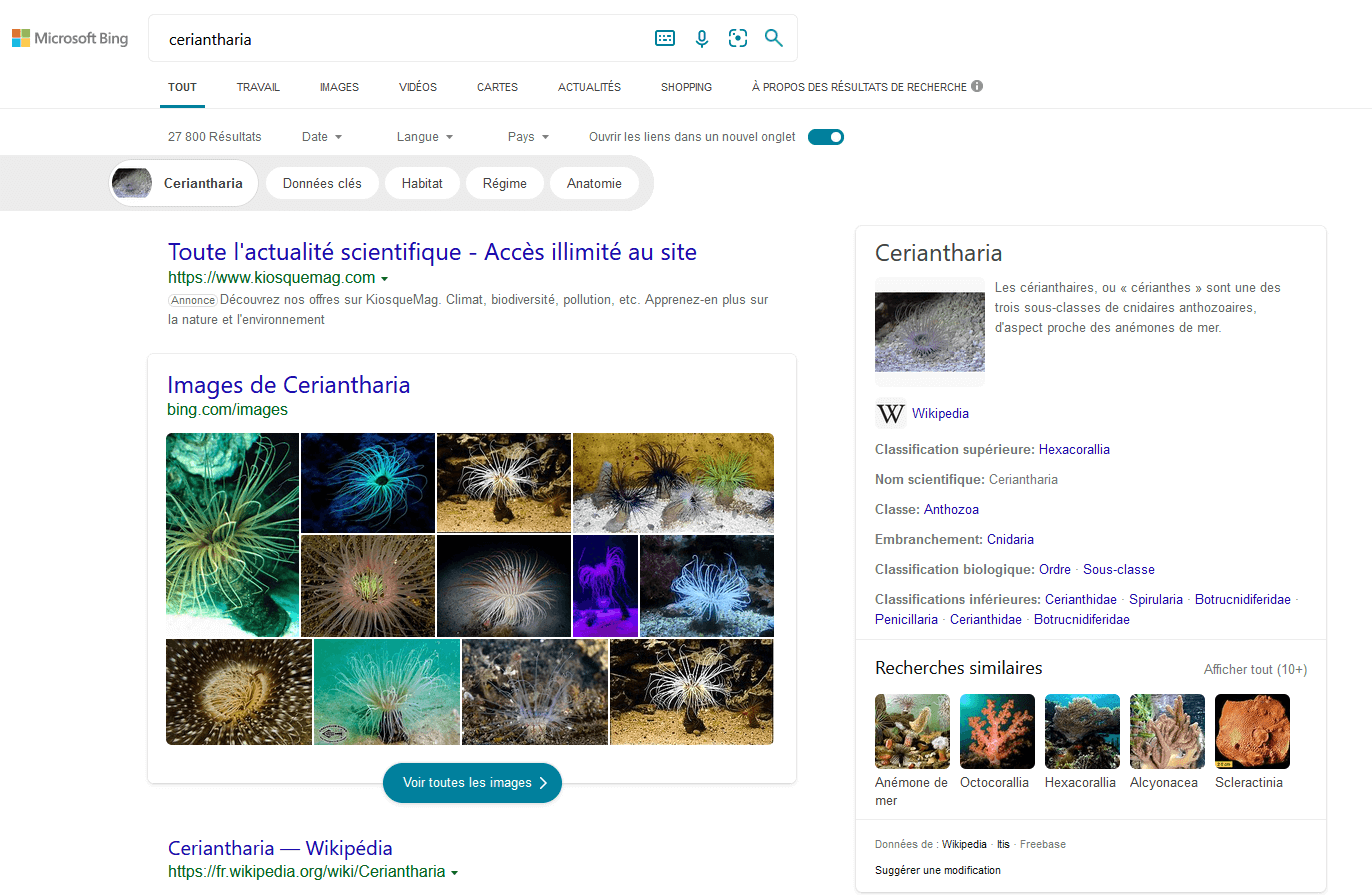 Vue des résultats de recherche dans Bing