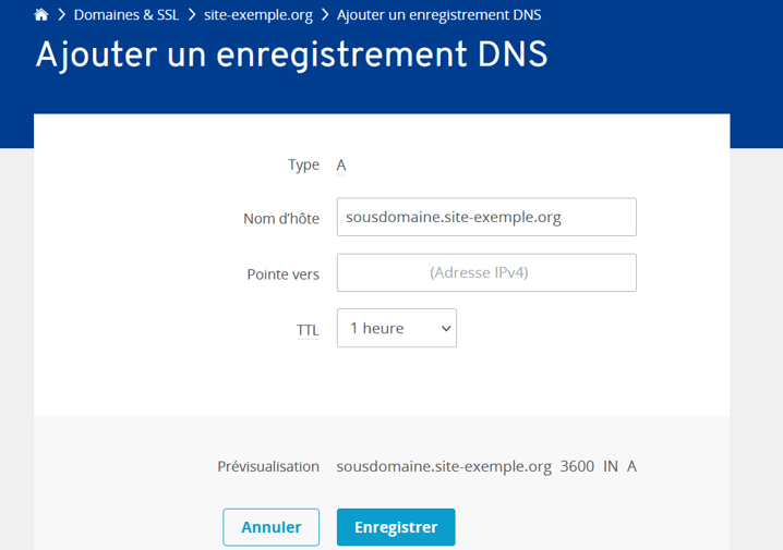 Ajouter un enregistrement DNS dans le IONOS Cloud Panel