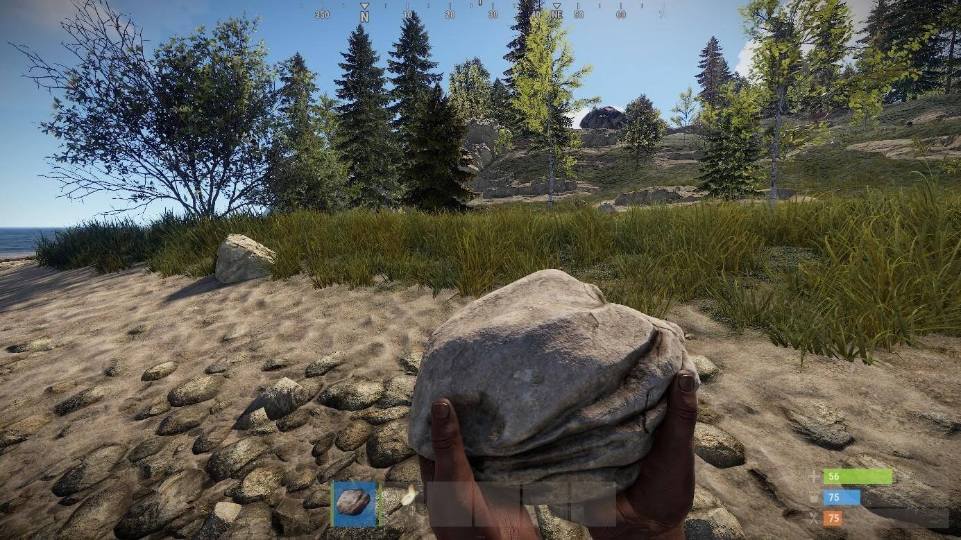 Capture d’écran de Rust : entrée de jeu avec une pierre et une torche