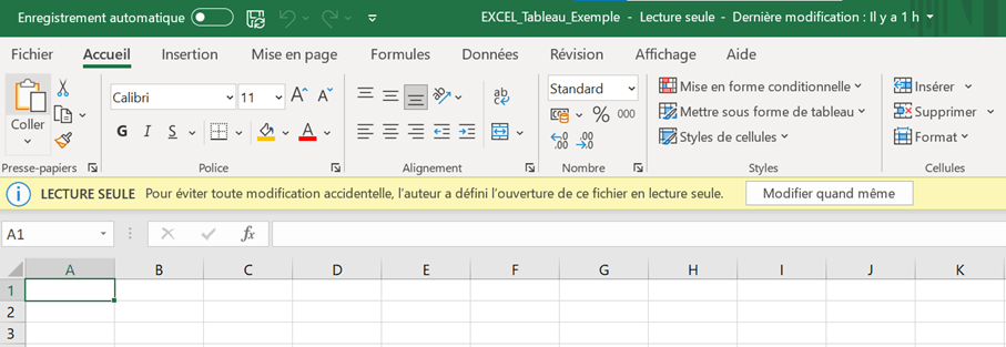 comment mettre en lecture seule un document excel