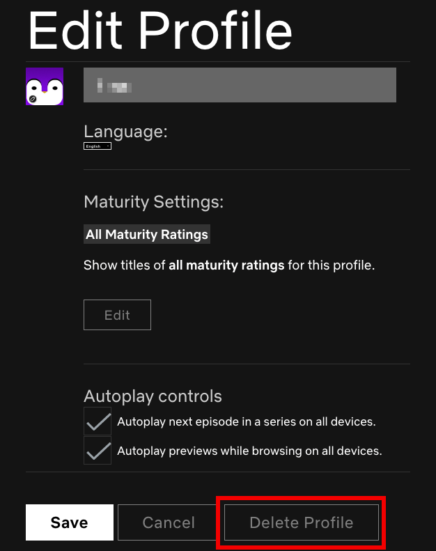 Capture d’écran de la version navigateur Netflix dans le menu « Modifier le profil »