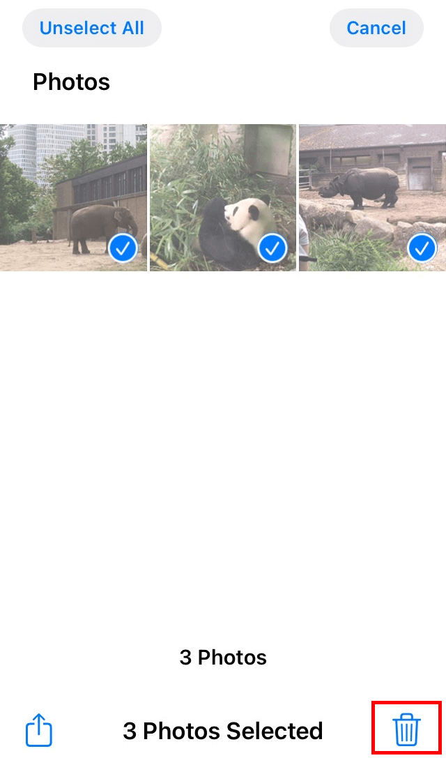 Capture d’écran de l’appli Photos sur iPhone