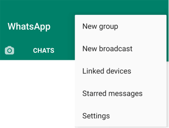 Capture d’écran du menu démarrer dans WhatsApp