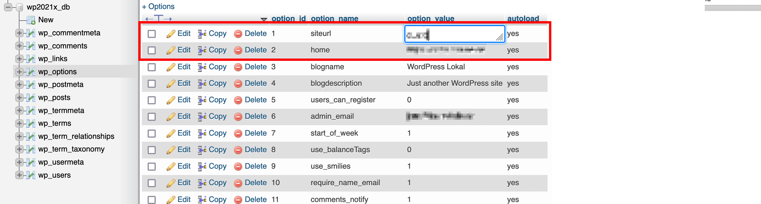 wp_options dans la base de données WordPress