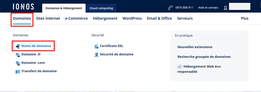 IONOS website: “Domains” menu IONOS website: “Domains” menu