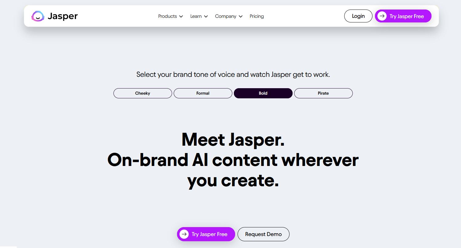 Capture d’écran de la page d’accueil de Jasper