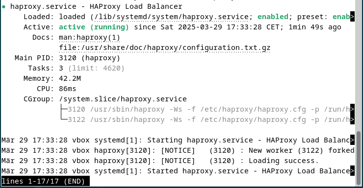 Capture d’écran de l’état de HAProxy dans le terminal Image: Capture d’écran de l’état de HAProxy dans le terminal