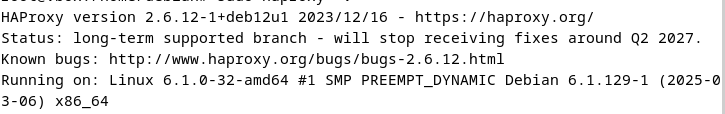 Capture d’écran de la version actuelle de HAProxy dans le terminal Image: Capture d’écran de la version actuelle de HAProxy dans le terminal