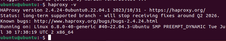 Capture d’écran de la version actuelle de HAProxy dans le terminal Image: Capture d’écran de la version actuelle de HAProxy dans le terminal