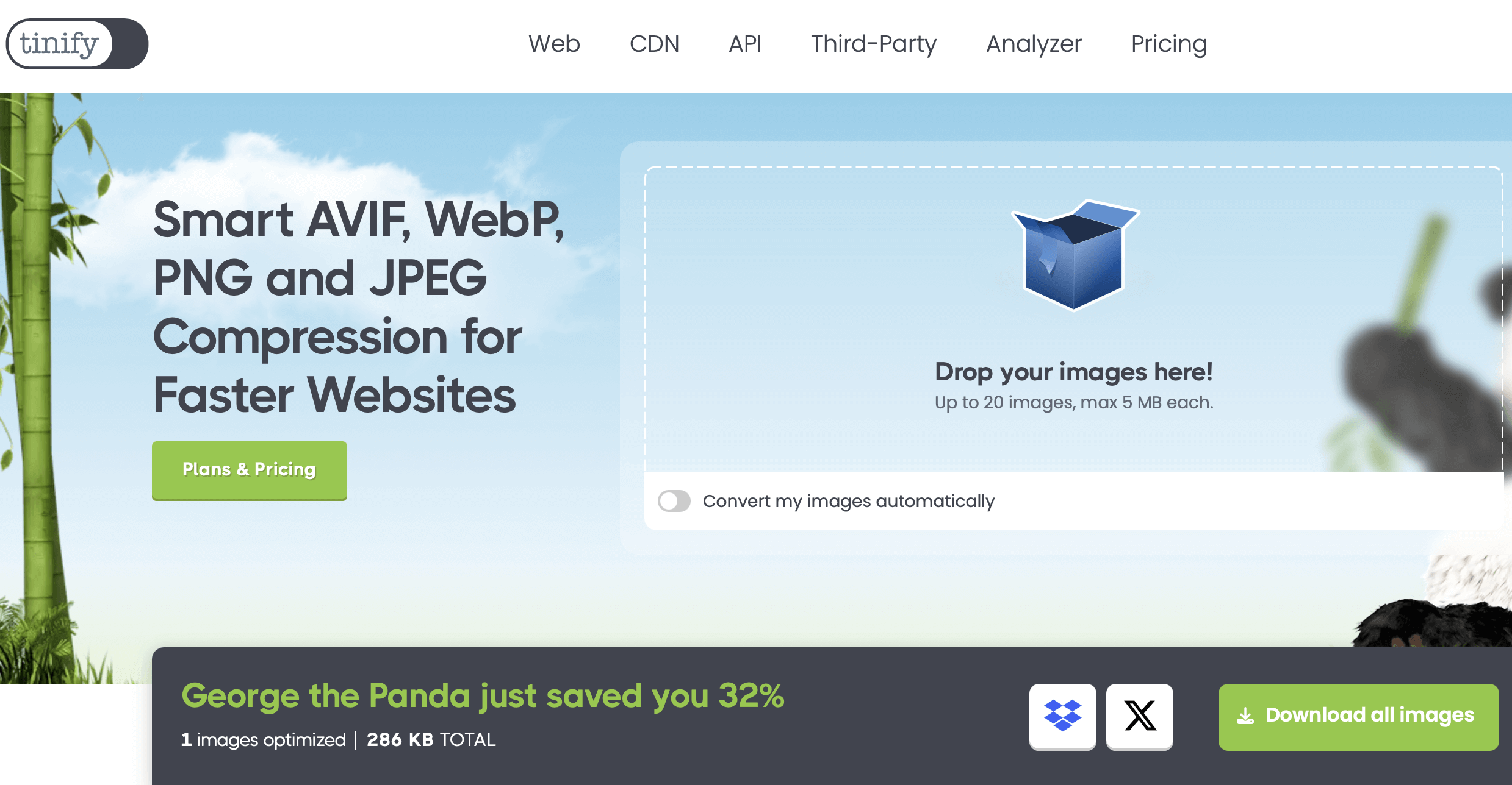 Capture d’écran du site TinyPNG Image: Capture d’écran du site TinyPNG
