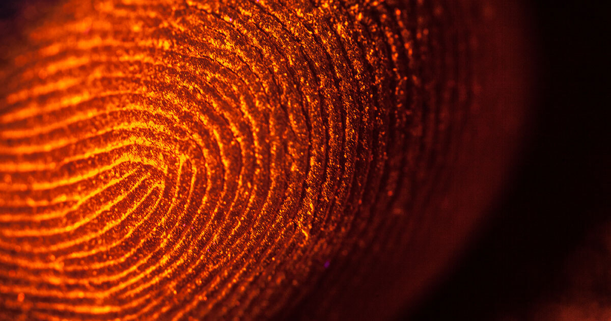 Le canvas fingerprinting : traçage Internet sans cookie