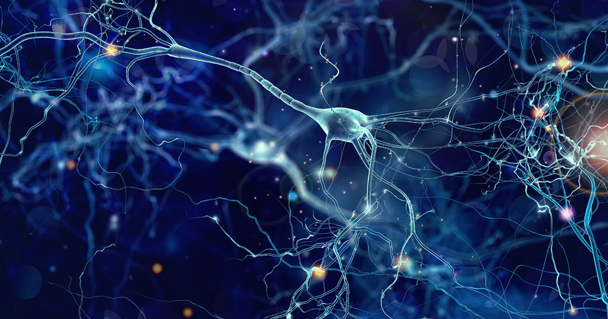 Qu’est-ce qu’un réseau neuronal artificiel ?
