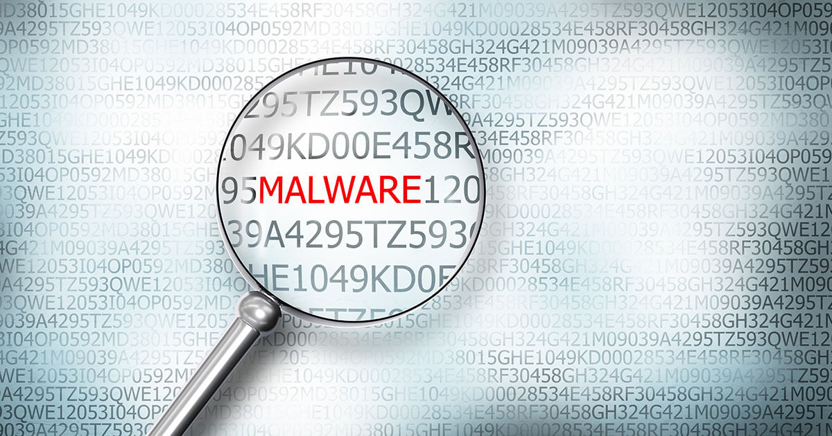 Malwares sur le serveur : conséquences et mesures à prendre