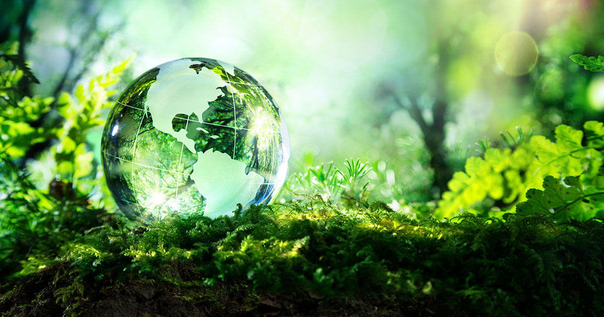 Ecosia : comment configurer le moteur de recherche par défaut Ecosia : comment configurer le moteur de recherche par défaut