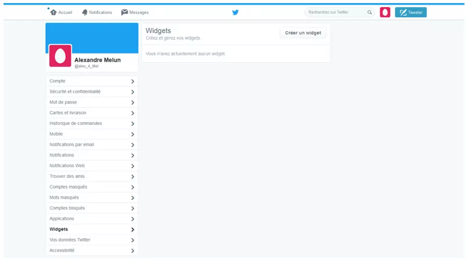 Image: Aperçu du menu de l’outil widget de Twitter 