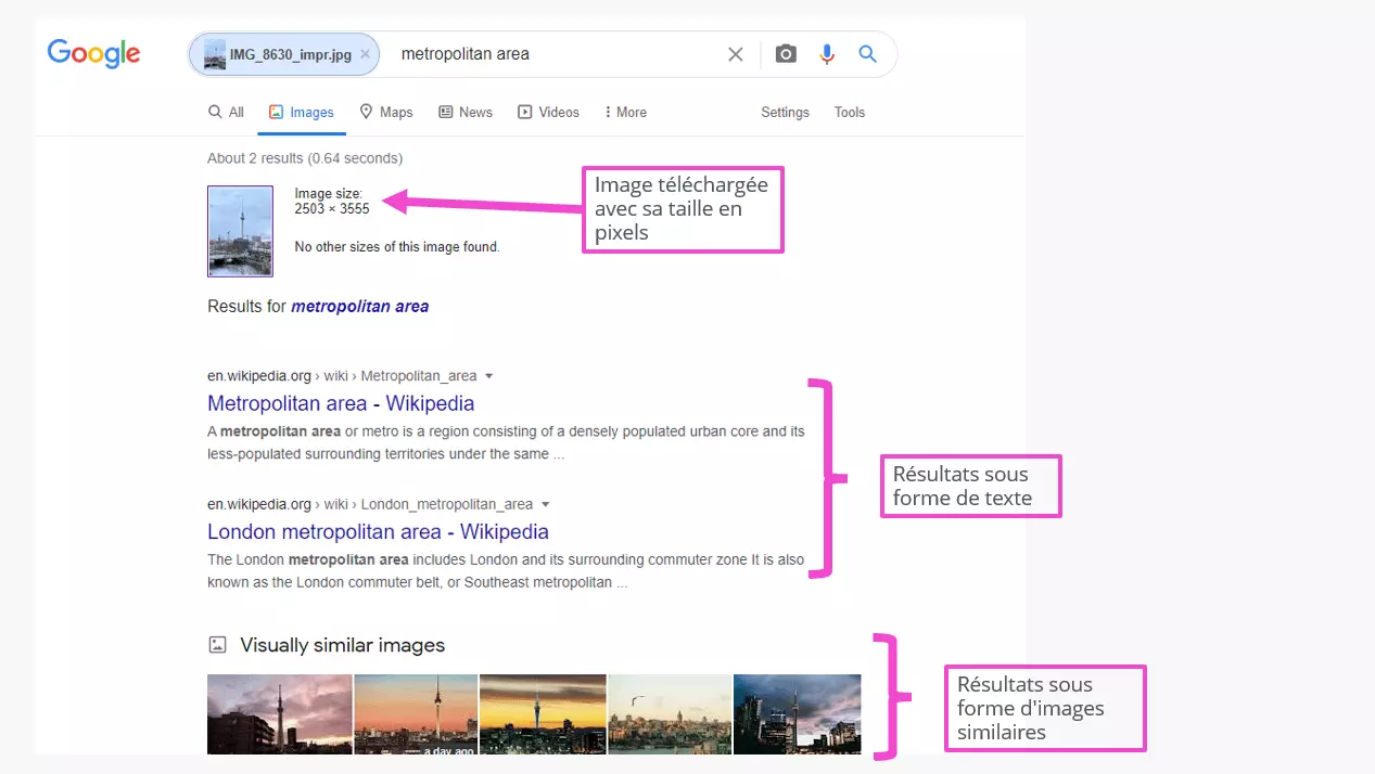 Recherche d’image inversée : résultats Google Images