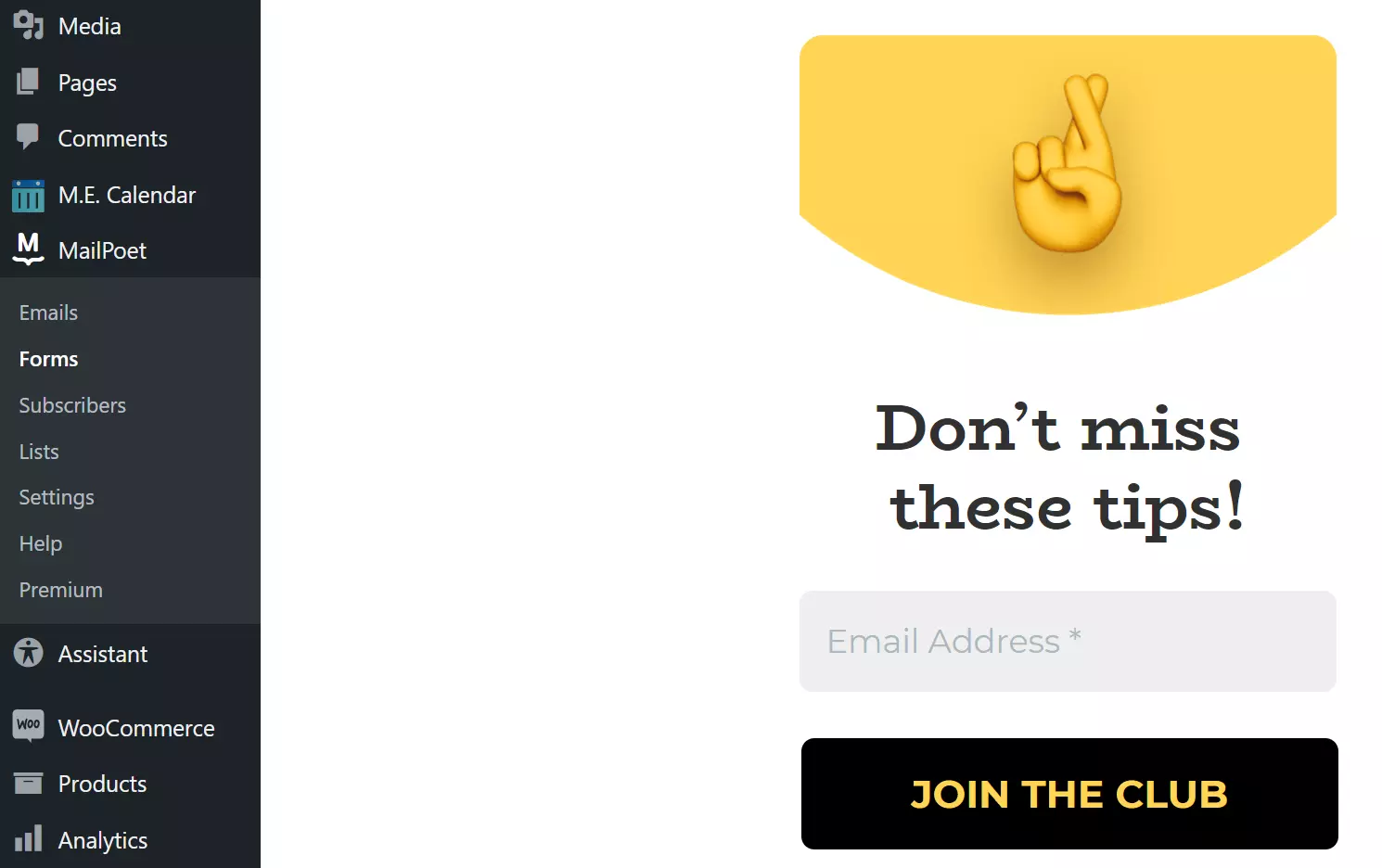 Image: Éditeur de newsletters de MailPoet dans le back-end de WordPress