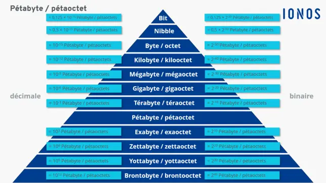 ionos -- csm_differentes-unites-d-information-converties-en-petabyte_11c41e3817.webp