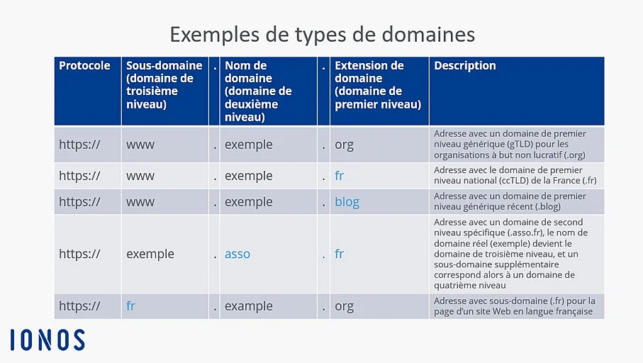 Image: The different types of domains in the schema