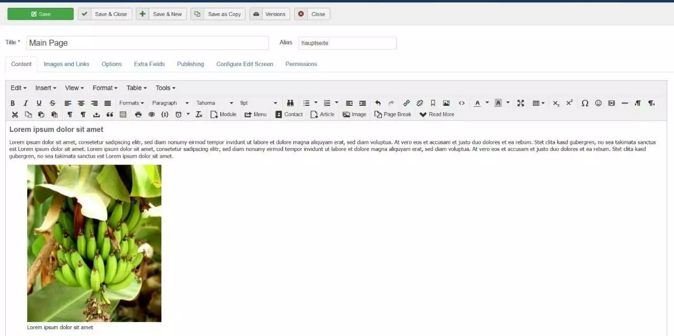 Image: Article Joomla avec exemple d’image