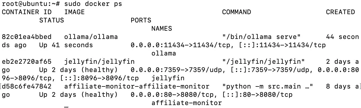 Capture d’écran de la sortie de docker ps Image: Capture d’écran de la sortie de docker ps