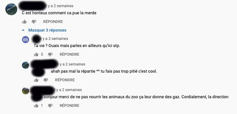 Impression écran : Chaînes de commentaires grossiers sur Youtube