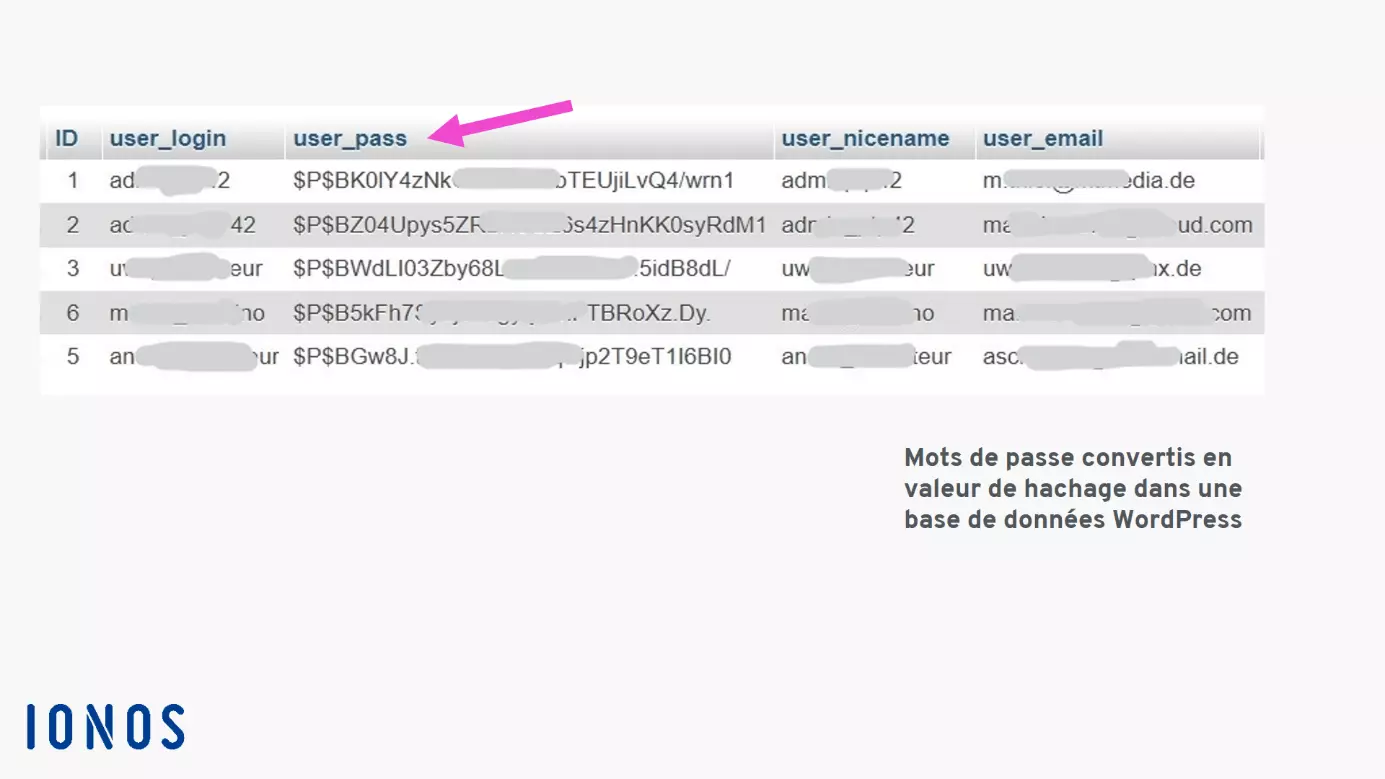 Image: Table de hachage dans une base de données WordPress