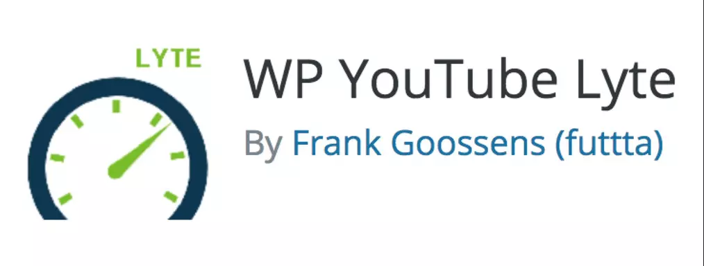 Capture d’écran du plugin WP YouTube Lyte