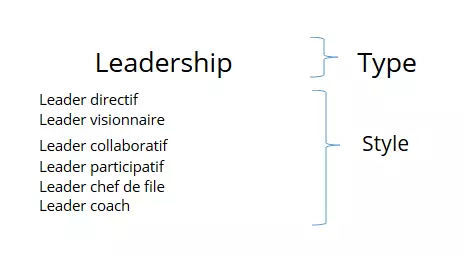 Image: FR-styles-de-leadership.png