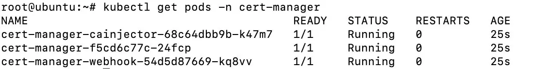 Installation de cert-manager avec Helm Image: Installation de cert-manager avec Helm