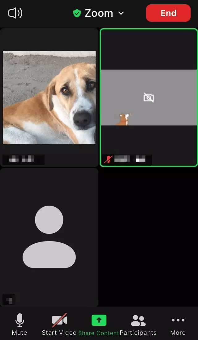 Vue Galerie dans l’application mobile de Zoom Image: Vue Galerie dans l’application mobile de Zoom