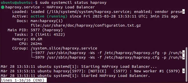 Image: Capture d’écran du statut actuel de HAProxy dans le terminal