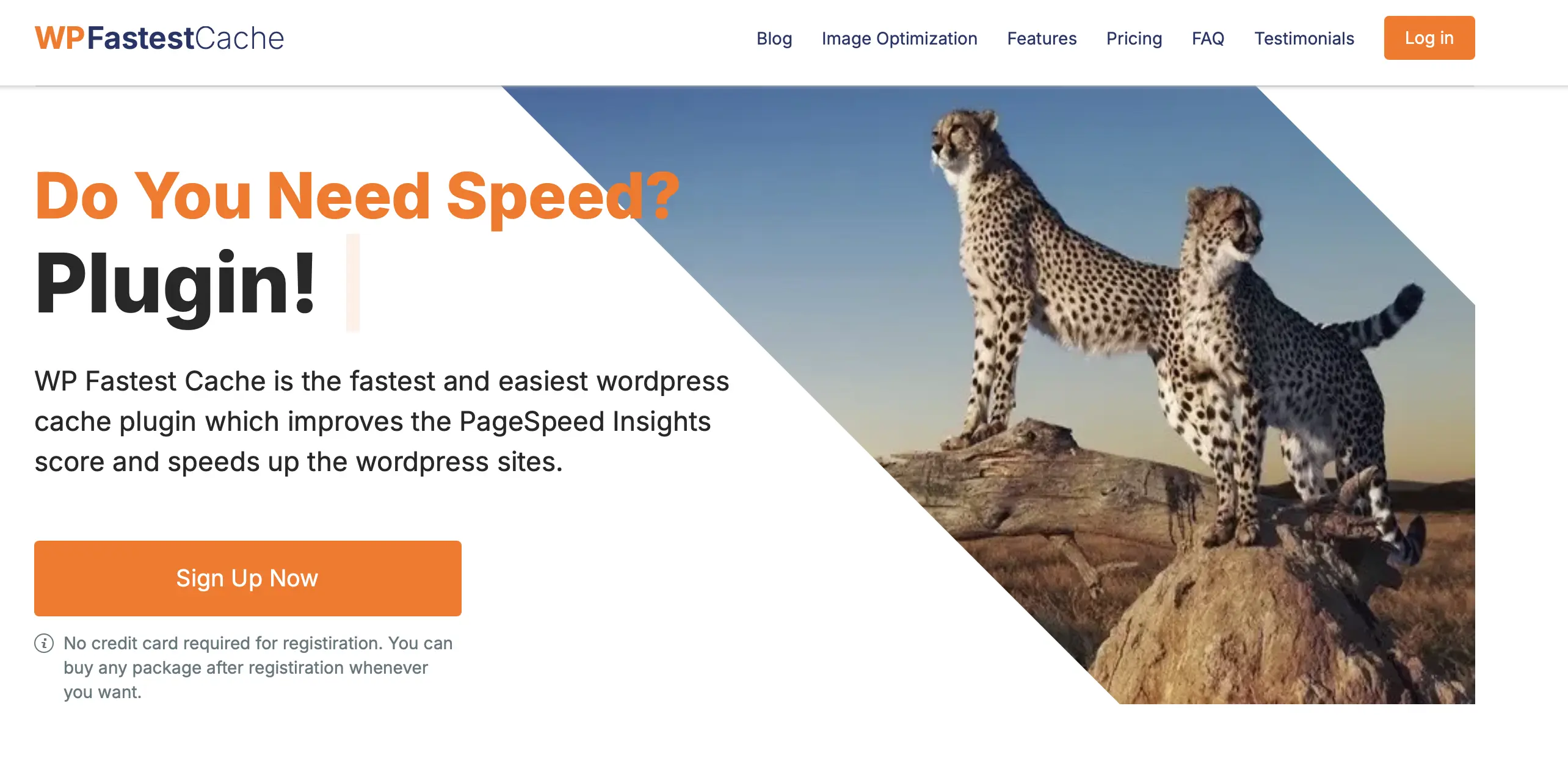 Image: Capture d’écran du site Internet WP Fastest Cache