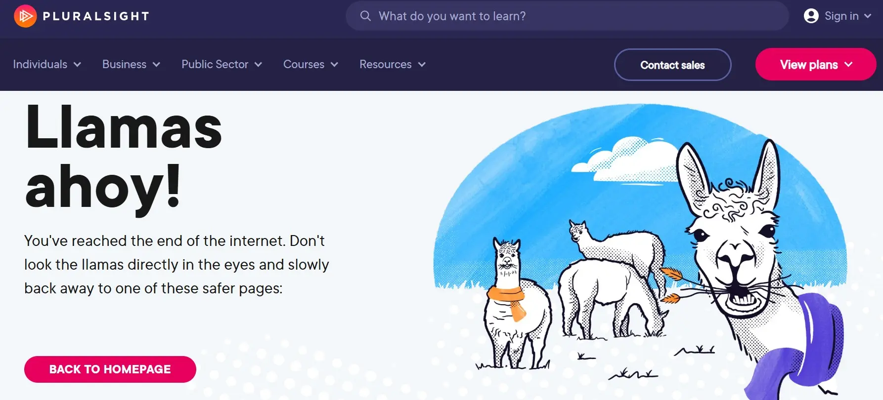 Page d’erreur 404 de Pluralsight Image: Page d’erreur 404 de Pluralsight