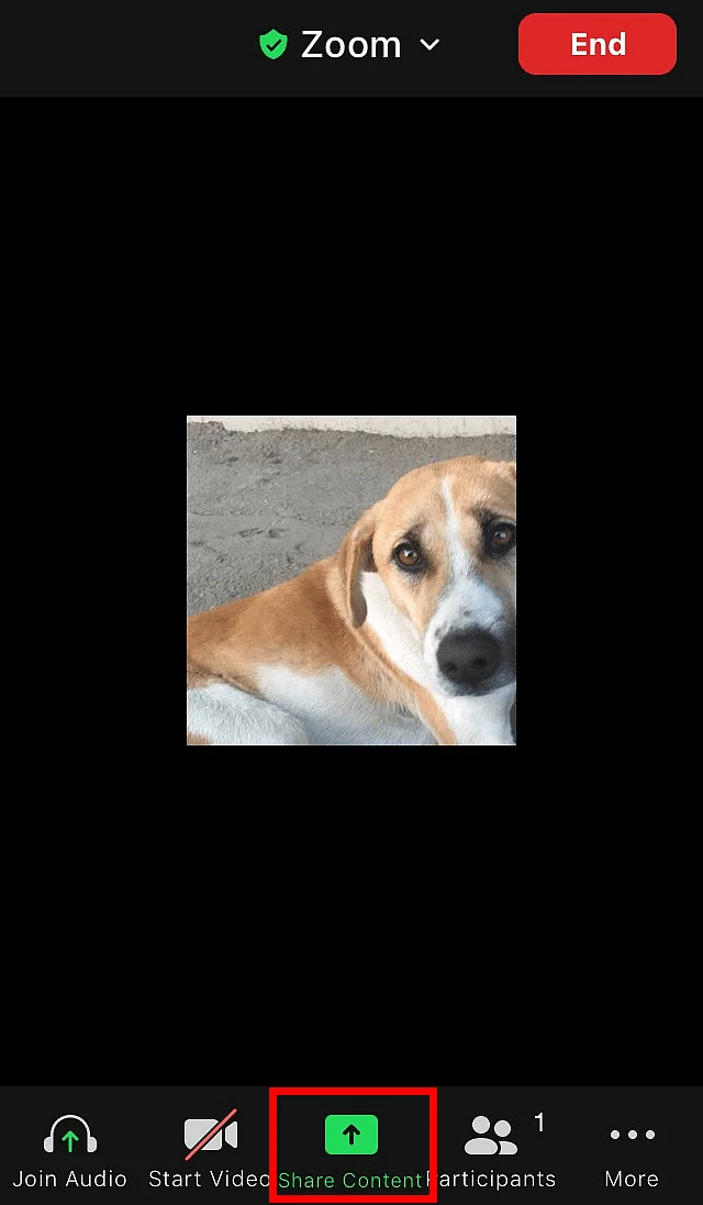 Application Zoom avec fonction de partage de contenu pendant une réunion Image: Application Zoom avec fonction de partage de contenu pendant une réunion