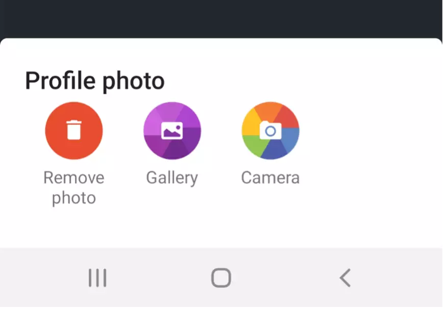 Image: Capture d’écran des trois options proposées par WhatsApp