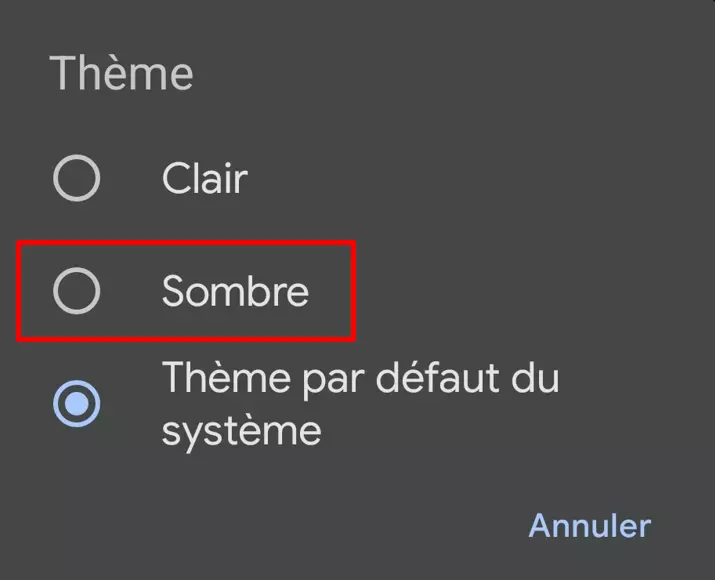 Image: Menu « Thème », avec les différents niveaux de luminosité disponibles
